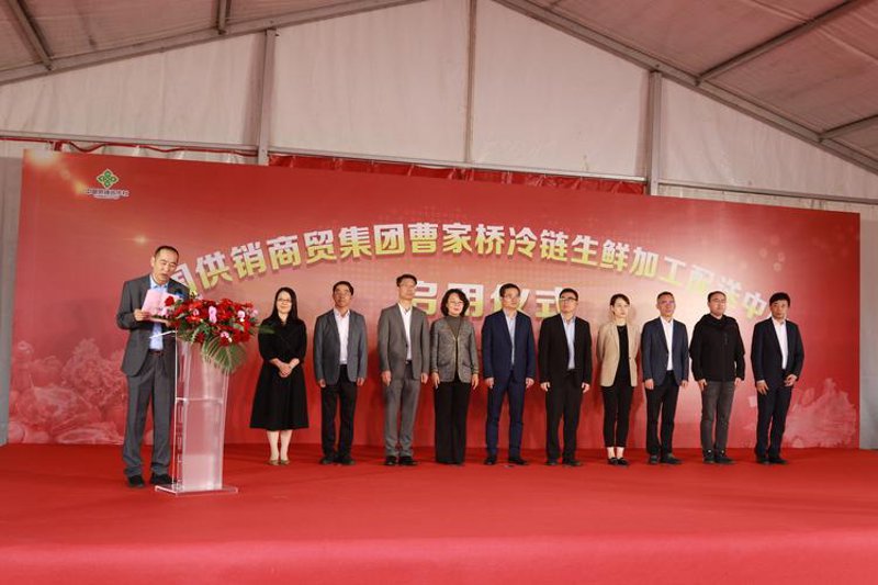 批发行业的最新趋势：商品批发背后的市场洞察